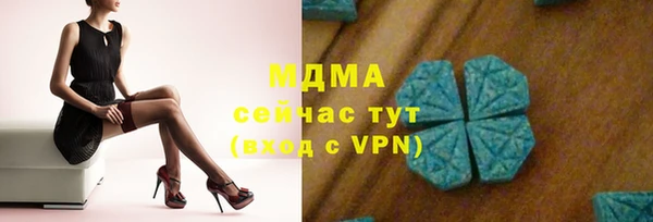 ECSTASY Бородино
