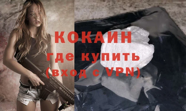 ECSTASY Бородино
