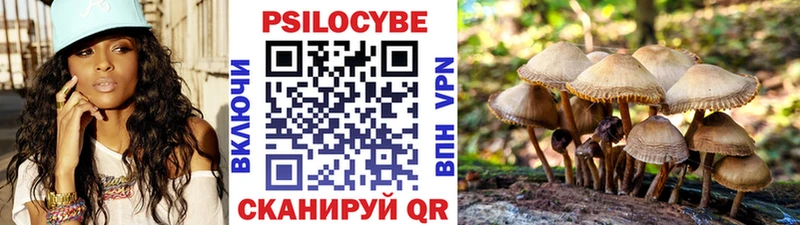 Псилоцибиновые грибы Magic Shrooms Высоцк